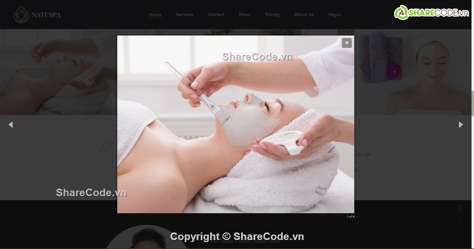 website html spa,website spa,html website spa salon,Template website spa salon